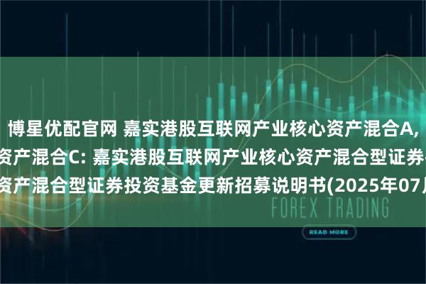 博星优配官网 嘉实港股互联网产业核心资产混合A,嘉实港股互联网产业核心资产混合C: 嘉实港股互联网产业核心资产混合型证券投资基金更新招募说明书(2025年07月22日更新)