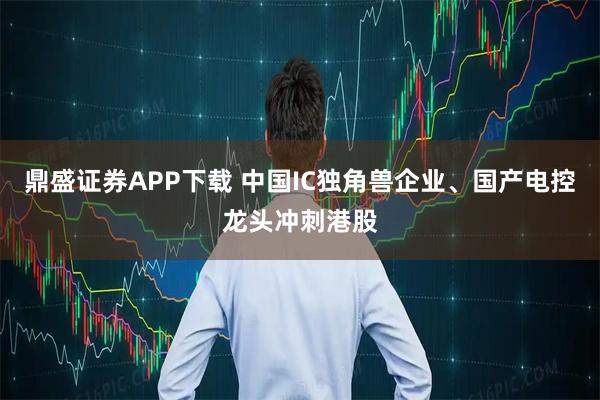 鼎盛证券APP下载 中国IC独角兽企业、国产电控龙头冲刺港股