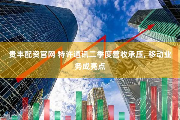 贵丰配资官网 特许通讯二季度营收承压, 移动业务成亮点